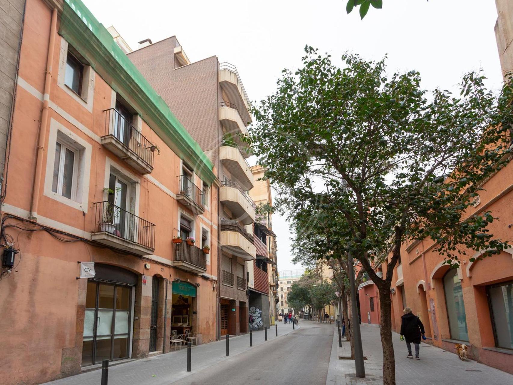 ברצלונה Bonito Apartamento En Gracia מראה חיצוני תמונה